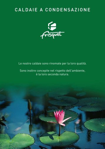 CALDAIE A CONDENSAZIONE - Frisquet