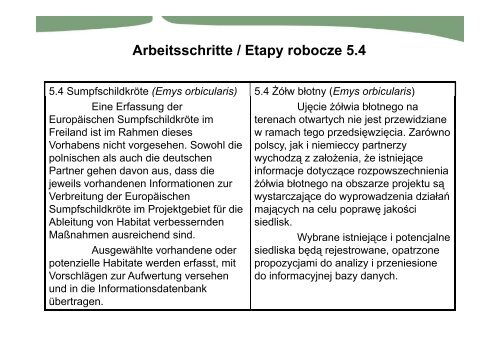 Sachbericht - Das Projekt Ãkologischer Korridor SÃ¼dbrandenburg