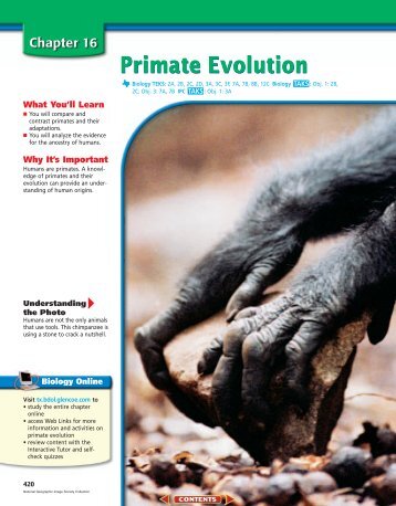 Chapter 16: Primate Evolution - New Braunfels ISD