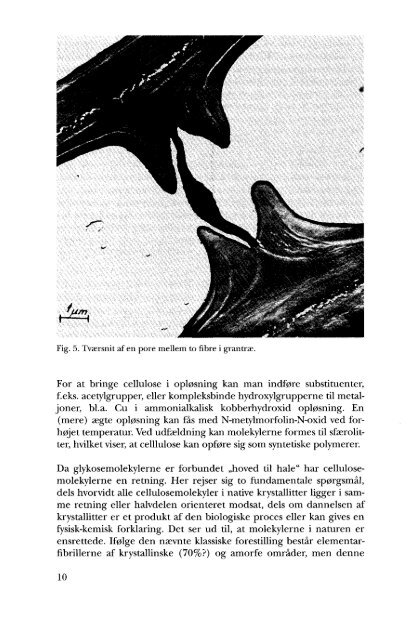 Volume 14 (1996) - Dansk Dendrologisk Forening