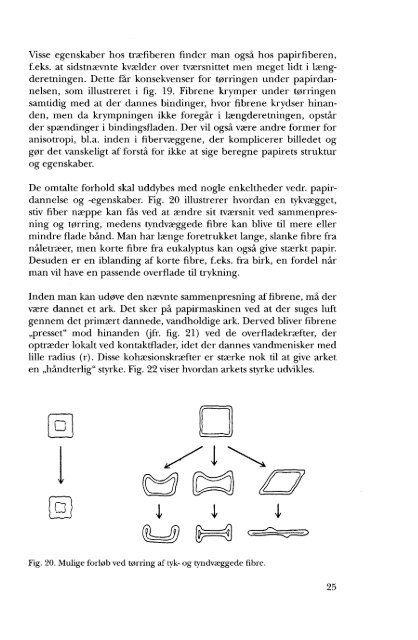 Volume 14 (1996) - Dansk Dendrologisk Forening