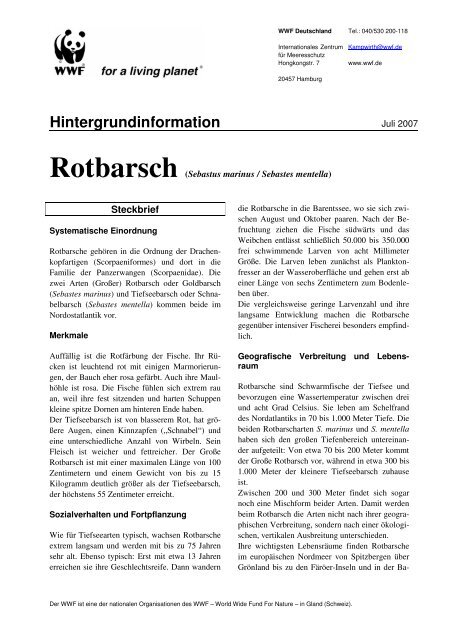 Rotbarsch