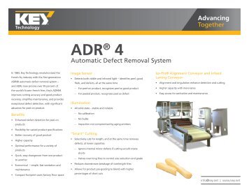 ADRÂ® 4 Automatic Defect Removal System - Key Technology