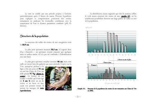 Comptage des Poissons Grands Migrateurs - FDAAPPMA 50