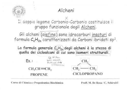 Alcheni e Alchini 1 - SunHope.it