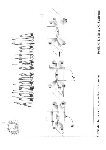 Alcheni e Alchini 1 - SunHope.it