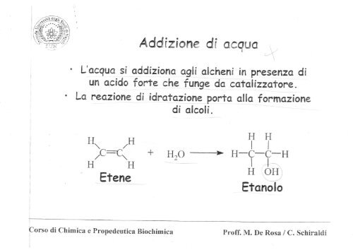 Alcheni e Alchini 1 - SunHope.it