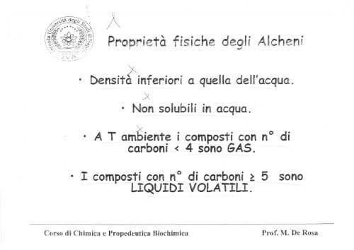 Alcheni e Alchini 1 - SunHope.it