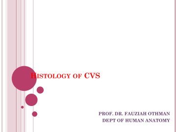 Histology of CVS - UMK CARNIVORES 3