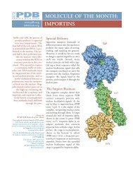 PDF Version - RCSB Protein Data Bank