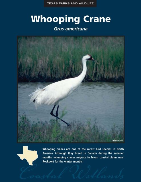 Whooping Crane - The State of Water