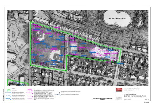 Remedial Action Plan - Rochford Field - Newhall Remediation Project