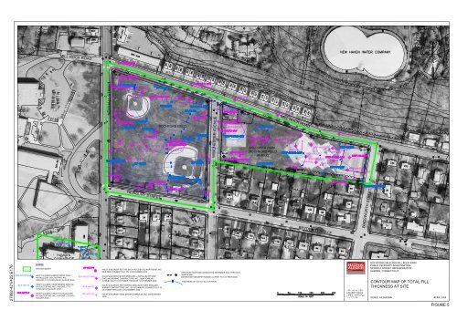 Remedial Action Plan - Rochford Field - Newhall Remediation Project