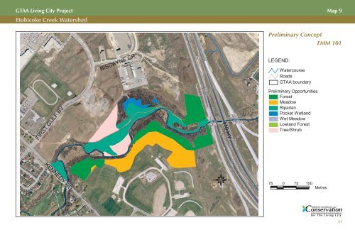 Summary Report and Implementation Plan - Partners in Project Green