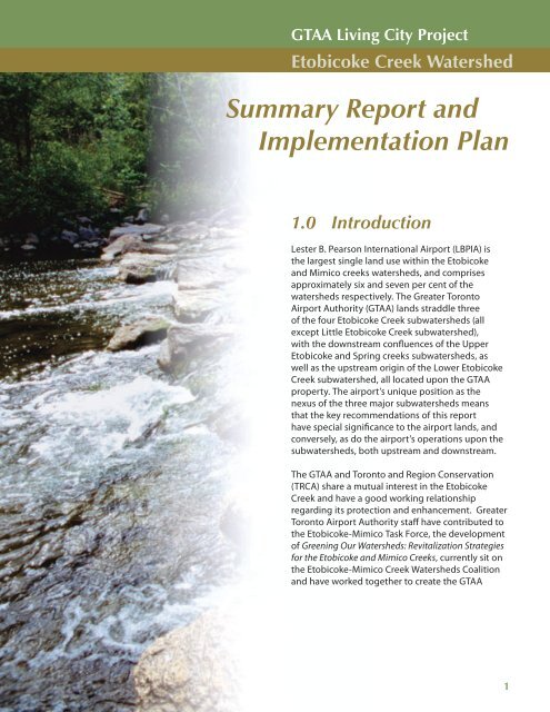Summary Report and Implementation Plan - Partners in Project Green