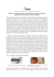 sujet thèse ELENA laboratoire IMS - C'Nano GSO