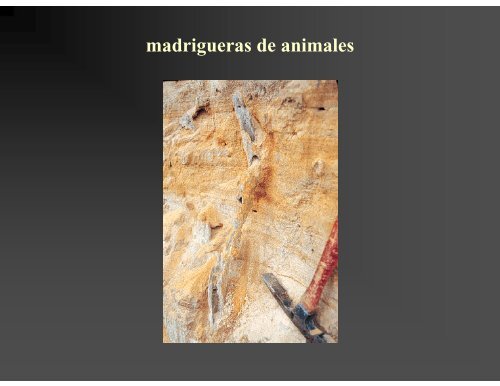 Estructuras Sedimentarias