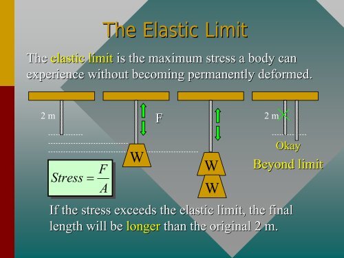 Chapter 13 -- Elasticity