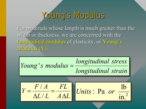 Chapter 13 -- Elasticity