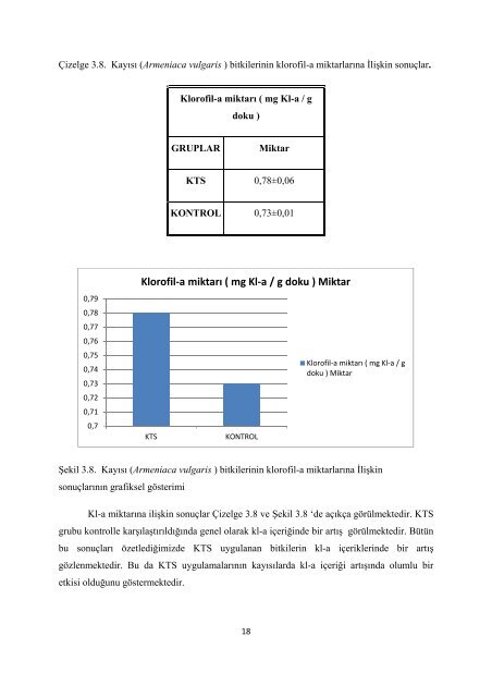 TÃBÄ°TAK â BÄ°DEB LÄ°SE ÃÄRETMENLERÄ° ( FÄ°ZÄ°K, KÄ°MYA, BÄ°YOLOJÄ° ...