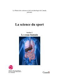 Le corps humain (Fichier PDF - 2 Mb) - MusÃ©e des sciences et de la ...