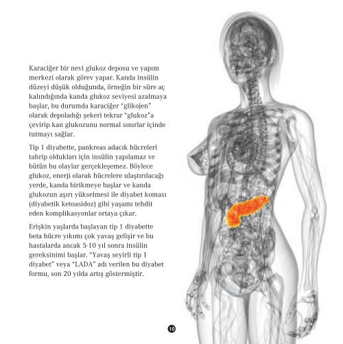 Tip 1 Diyabet - TÃ¼rkiye Endokrinoloji Metabolizma DerneÄi