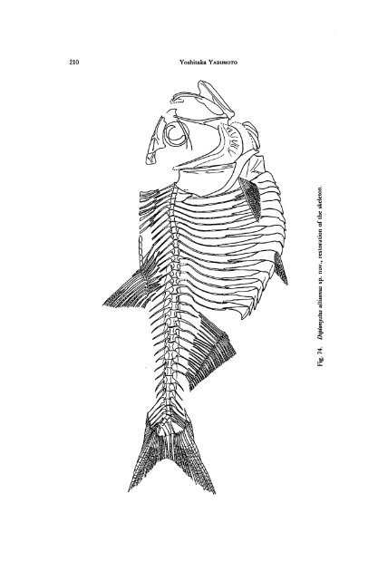 Early Cretaceous Freshwater Fish Fauna in Kyushu, Japan