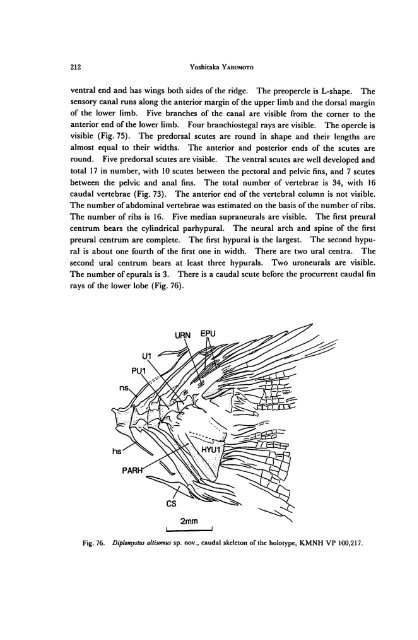 Early Cretaceous Freshwater Fish Fauna in Kyushu, Japan