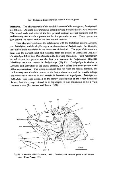 Early Cretaceous Freshwater Fish Fauna in Kyushu, Japan