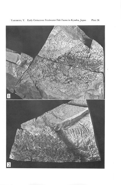 Early Cretaceous Freshwater Fish Fauna in Kyushu, Japan