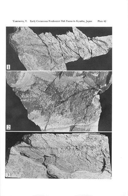 Early Cretaceous Freshwater Fish Fauna in Kyushu, Japan