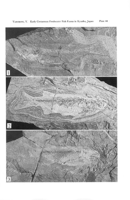 Early Cretaceous Freshwater Fish Fauna in Kyushu, Japan