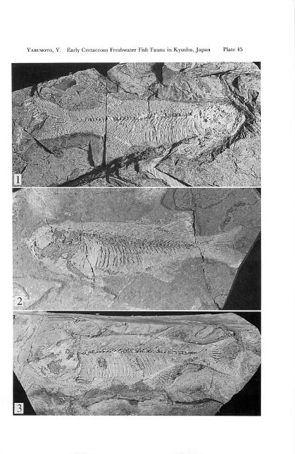 Early Cretaceous Freshwater Fish Fauna in Kyushu, Japan