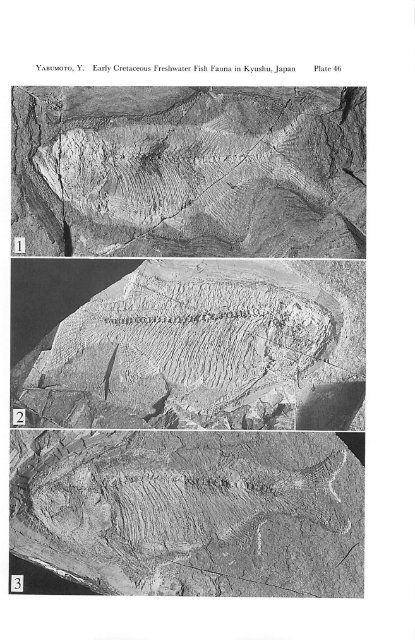 Early Cretaceous Freshwater Fish Fauna in Kyushu, Japan