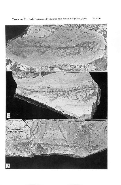 Early Cretaceous Freshwater Fish Fauna in Kyushu, Japan