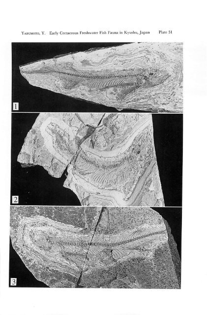 Early Cretaceous Freshwater Fish Fauna in Kyushu, Japan