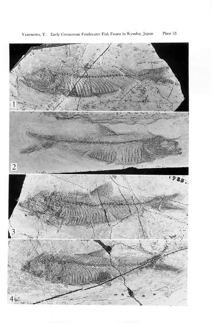 Early Cretaceous Freshwater Fish Fauna in Kyushu, Japan