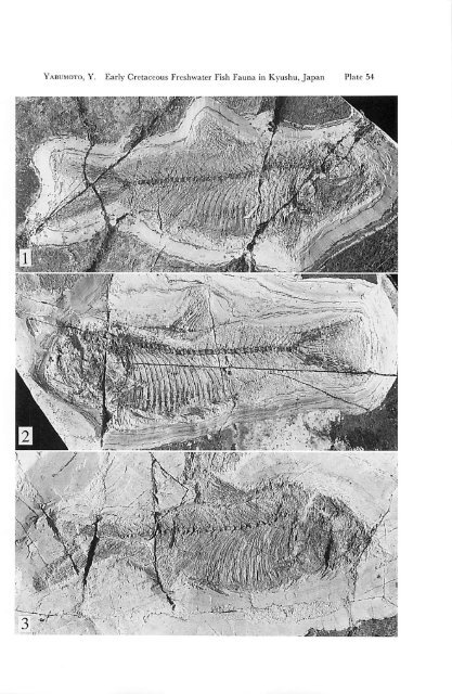 Early Cretaceous Freshwater Fish Fauna in Kyushu, Japan