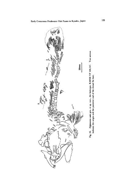 Early Cretaceous Freshwater Fish Fauna in Kyushu, Japan