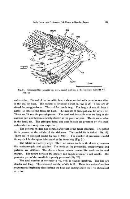 Early Cretaceous Freshwater Fish Fauna in Kyushu, Japan