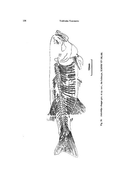 Early Cretaceous Freshwater Fish Fauna in Kyushu, Japan