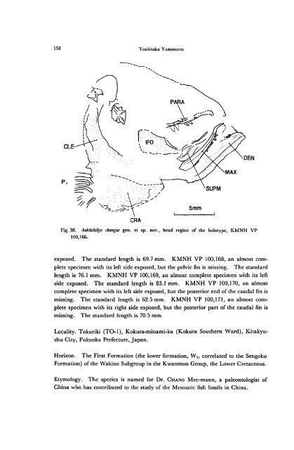 Early Cretaceous Freshwater Fish Fauna in Kyushu, Japan