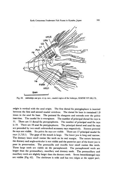 Early Cretaceous Freshwater Fish Fauna in Kyushu, Japan