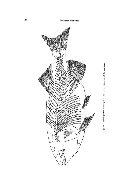 Early Cretaceous Freshwater Fish Fauna in Kyushu, Japan