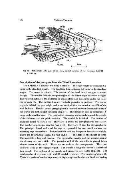 Early Cretaceous Freshwater Fish Fauna in Kyushu, Japan