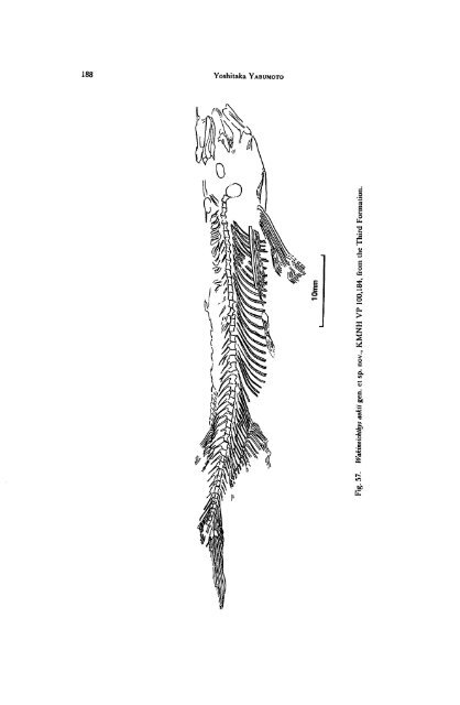 Early Cretaceous Freshwater Fish Fauna in Kyushu, Japan