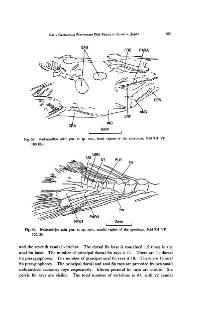 Early Cretaceous Freshwater Fish Fauna in Kyushu, Japan