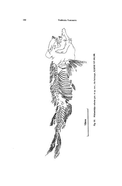 Early Cretaceous Freshwater Fish Fauna in Kyushu, Japan