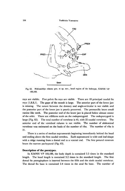 Early Cretaceous Freshwater Fish Fauna in Kyushu, Japan