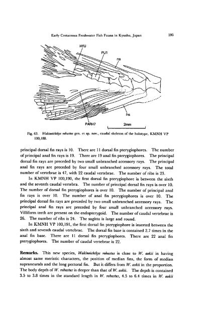 Early Cretaceous Freshwater Fish Fauna in Kyushu, Japan